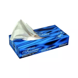 Mouchoirs cosmetiques 2 plis blanc (boîte de 100)